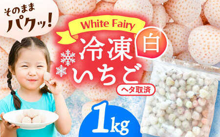 Ⓚ 1kg ʕ t[c  s / 䕔_ yzBsFz[AECJ028]