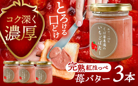 いちごバター 3本 苺 イチゴ ジャム バター[配達不可:離島] / くぼ苺農園[AECJ023]