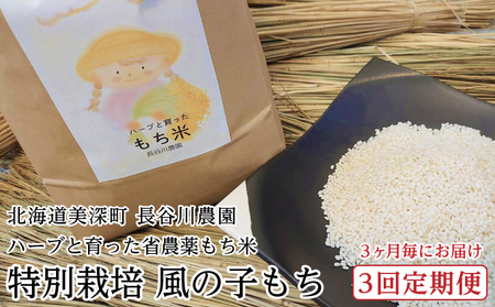 ［先行予約/11月発送開始］3ヶ月毎にお届け［3回定期便］ハーブと育った省農薬の特別栽培もち米「風の子もち」5kg×1【北海道美深町】長谷川農園 餅米 北海道産 