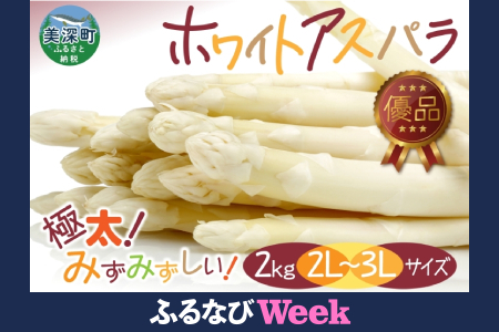 【ふるなびWEEK対象】2026年発送 ホワイトアスパラ 2kg(2L～3L ）【優品】 白旬 新鮮 野菜 朝採れ アスパラ アスパラガス ギフト 産地直送 お取り寄せ フレッシュ 甘い 春 春野菜 旬の味覚 季節 送料無料 北海道産 美深町 FN-Limited-PR