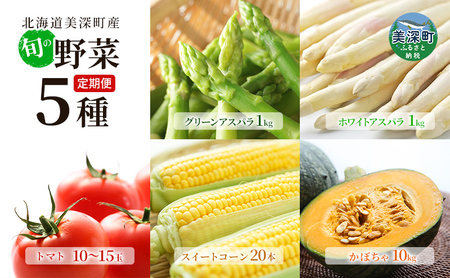 [2025年発送]美深の旬の野菜 年5回 定期便 ホワイトアスパラ グリーンアスパラ とうもろこし トマト かぼちゃ 北海道 美深町 野菜 アスパラ アスパラガス コーン スイートコーン フルーツトマト 旬 直送 セット