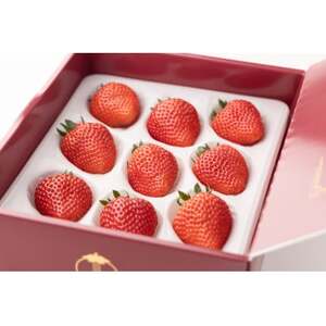 �y�Y���z���n��ڂ��w�l�d�t�v���~�A���x�@���m���݂悵�s�@�y�z���s�n��F�����E�k�C���E���ꌧ�z�y1284759�z