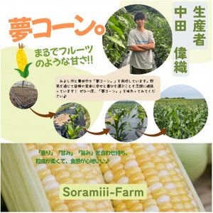 [2026年度先行受付]愛知県みよし市産 朝採り「夢コーン。」Lサイズ10本セット 数量限定[配送不可地域:離島・沖縄県]