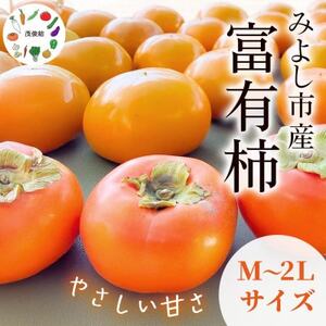 Ώr̕xL`y1656395z