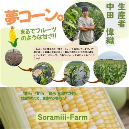 [2026年度先行受付]愛知県みよし市産 朝採り「夢コーン。」Lサイズ8本セット 数量限定[配送不可地域:離島]