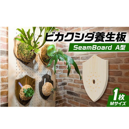 ビカクシダ板 SeamBoard A型 Mサイズ ビカクシダ コウモリラン 板付け 壁掛け 観葉植物 植物 おしゃれ インテリア 室内 無塗装 ギフト プレゼント 育てやすい 株式会社アサヒ 送料無料 愛知県 あま市