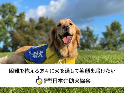 【ふるさと納税・返礼品なし】困難を抱える方々に犬を通して笑顔を届けたい！「シンシアの丘」の活動を応援する 10,000円