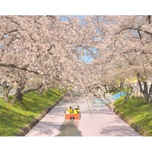 大口町五条川遊覧船 親子ペア乗船券(引換券)