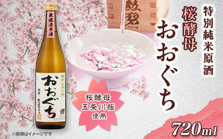 おおぐち