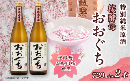 おおぐち2本【1343094】