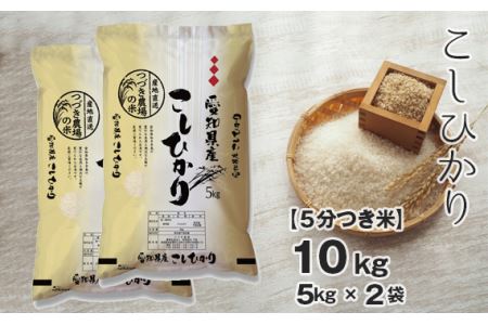 [5分つき米] 令和5年産 つづき農場のコシヒカリ 10kg