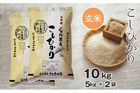 [玄米] 令和5年産 つづき農場のコシヒカリ 10kg