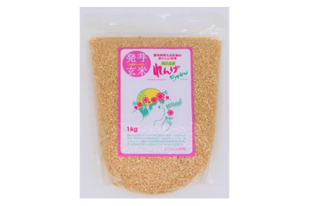 茺 񂰂 RVqJ 4kg No.126