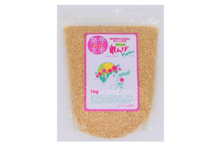 茺 񂰂 RVqJ 5kg No.145