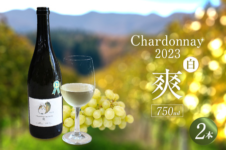 Chardonnay2023 爽 750ml 白ワイン 2本セット｜シャルドネ 無添加 無濾過 国産 日本ワイン 愛知県 東浦町