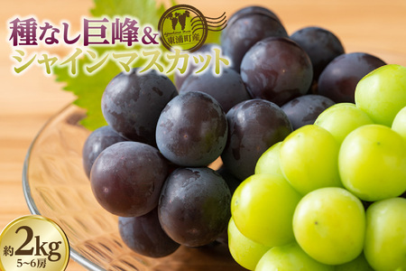 【先行予約】東浦町産 種なし巨峰＆シャインマスカット詰め合わせ　約2kg（5～6房） ぶどう ブドウ マスカット 葡萄 巨峰 種なし 種無し シャインマスカット 高級 フルーツ 果物 新鮮 農家直送 フレッシュ デザート おやつ 種なし 皮ごと 愛知県 東浦町