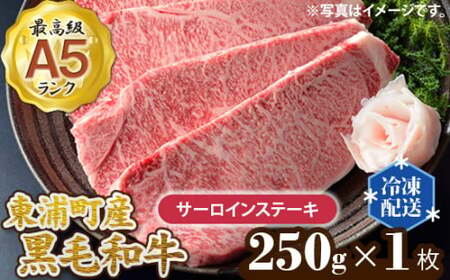 東浦町産最高級A5ランク黒毛和牛 サーロインステーキ(約250g×1枚)