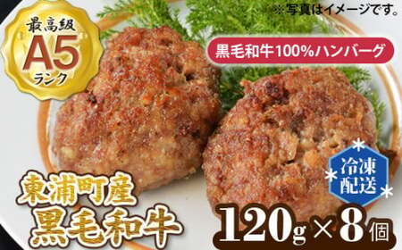 東浦町産最高級A5ランク黒毛和牛100%ハンバーグ(約120g×8個)