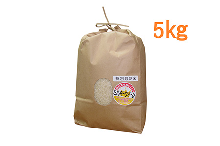 東浦町のミルキークィーン 5kg/お米 ミルキークイーン 特別栽培米 愛知県