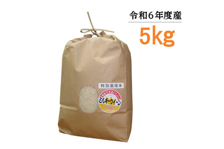 [令和6年度産]東浦町のミルキークイーン 5kg|米 おこめ 精米 直送 鈴木農産 愛知県