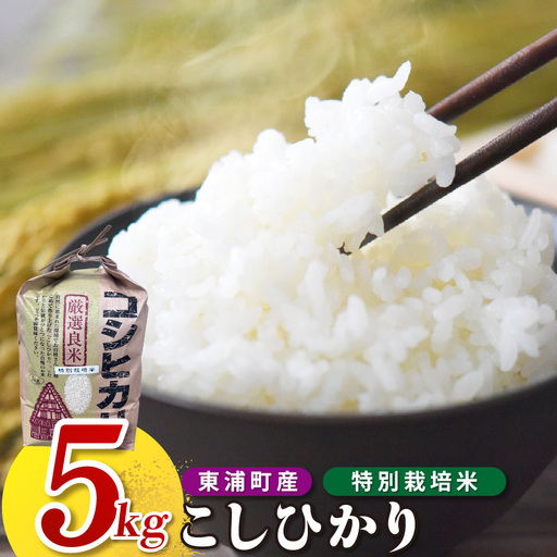 東浦町産　こしひかり　約5kg│米 お米 コメ 白米 精米 新米 愛知県産