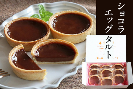 ショコラエッグタルト 9個入 タルト チョコレート ショコラ 洋菓子 お菓子 スイーツ おやつ ルテイン ギフト 贈り物 贈答 愛知県 東浦町