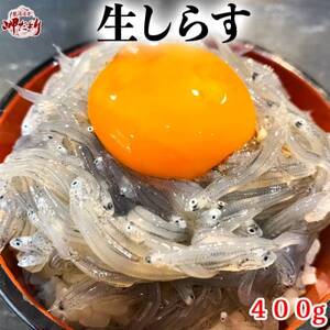 生しらす (お刺身) 400g(100g×4個) 岬だより [配送不可地域:離島]