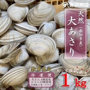 訳あり 南知多町産 活大あさり 約1kg 大なら4個前後 小なら10個前後 不揃い※個数は選べません 配送不可地域:離島・北海道・沖縄県・東北・中国・四国・九州