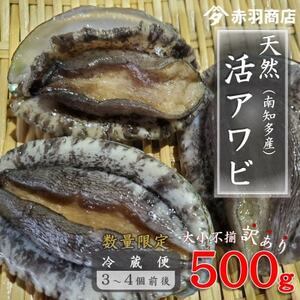 訳あり 南知多町産 天然活アワビ 約500g (2-4個) 捌き方のレシピ付き 大小不揃い 配送不可地域:離島・北海道・沖縄県・東北・中国・四国・九州