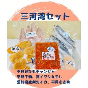 海神丸 三河湾 セット 5種 平貝 ( 貝ひも チャンジャ ・ 干物 ・ むき身 ) ・マイワシ 丸干し ・ ケンサキ イカ 冷凍 海鮮 魚介 海の幸 ご飯 ごはん おかず いわし 貝 愛知県 南知多町 人気 おすすめ [配送不可地域：離島]
