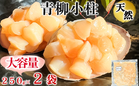 [先行予約] 天然 青柳 小柱 250g × 2袋 岬だより セット 冷凍 小分け 青柳小柱 ふるさと納税貝 ふるさと納税魚介 パック 貝柱 人気 おすすめ 愛知県 南知多町 [配送不可地域:北海道、沖縄、離島]