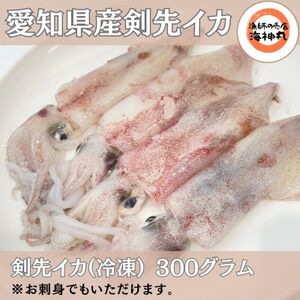 愛知県産　剣先イカ(アカイカ)3袋 イカ [配送不可地域：離島]