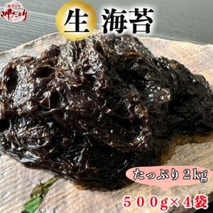 生海苔 500g×4袋 計2kg 冷凍 岬だより のり