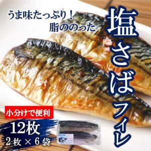 塩さばフィレ 12枚(2枚×6袋) 小分け サバサバサバサバ鯖鯖鯖