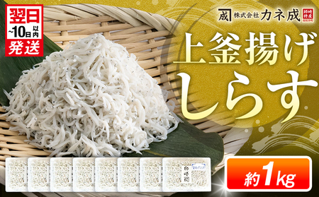 釜揚げ しらす プレミアム 1040g (130g×8パック) 小分け 減塩 無添加 無着色 冷凍 愛知県 南知多町 ご飯 ごはん 丼 料理 シラス 国産 カネ成 人気 おすすめ