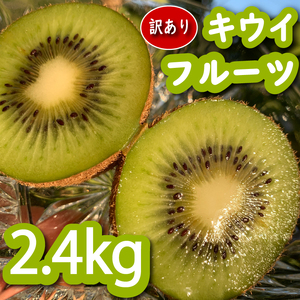 【先行予約】【12月上旬~順次発送】 訳あり キウイフルーツ 2.4kg 無農薬 腸活 グリーンキウイ 健康 甘い キウイ フルーツ 無選別 みつばちキウイ 規格外 デザート 果物 くだもの 国産 愛知県 南知多町 【配送不可地域：北海道 青森 秋田 岩手】 