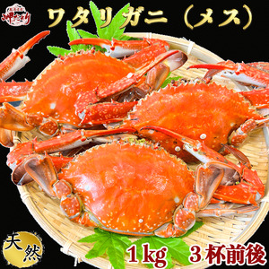 カニ 1kg (約3杯前後) 冷凍 ボイル済み 調理済み 国産 愛知県 南知多町 [配送不可地域:離島] (ワタリガニ 渡り蟹ワタリガニ 渡り蟹 )