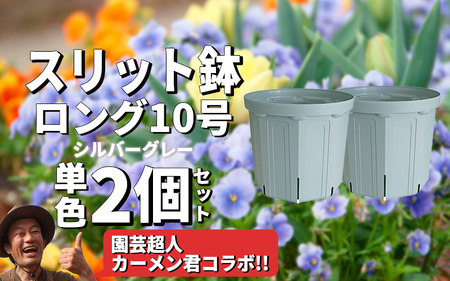 スリット鉢 2個 10号 シルバーグレー 植木鉢 植物 果樹 野菜 観賞用 園芸 ガーデニング 花 カーメン君 兼弥産業 愛知県 南知多町