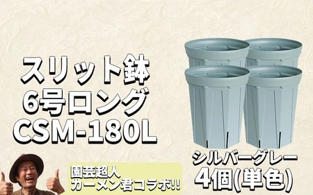 スリット鉢 4個 6号 シルバーグレー 植木鉢 植物 果樹 野菜 観賞用 園芸 ガーデニング 花 カーメン君 兼弥産業 愛知県 南知多町