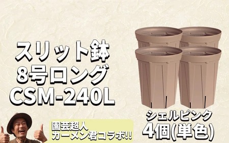スリット鉢4個 8号 シェルピンク
