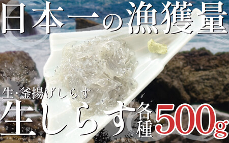 生しらす500g 釜揚げしらす500g セット(しらす日本一の島 篠島産) ( しらす )