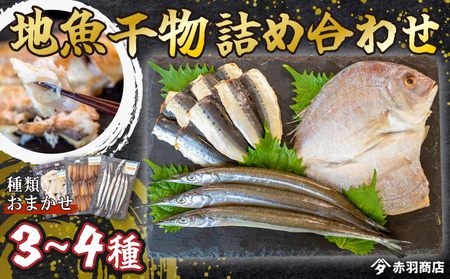 おまかせ 地魚 ひもの 詰合せ 南知多産 3~4種 冷凍 旬 鮮魚 干物 鯛 イワシ タチウオ 鰯 味醂 干し フグ サヨリ 河豚 鱧 みりん 醤油 タイ ハモ しょうゆ キス 太刀魚 季節 海鮮 新鮮 おかず 乾き物 つまみ 魚貝 丸干し 魚介 詰め合わせ さかな つめあわせ 簡単 セット 人気 おすすめ 愛知県 南知多町