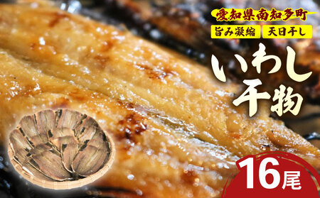 訳あり いわし 干物 16尾 冷蔵 国産 パック 開き 便利 ご飯 イワシ ごはん 魚 さかな いわし 簡単 調理 干物 真イワシ ご飯のお供 つまみ 酒の肴 鰯 晩酌 おかず マイワシ 海鮮 新鮮 魚介 海産 ヤマカ水産 愛知県 南知多町 人気 おすすめ