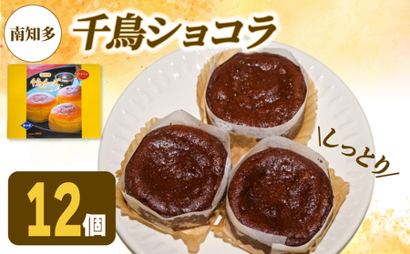 AUX Iׂ 璹VR 12 Ⓚ Kg[VR `RP[L m m