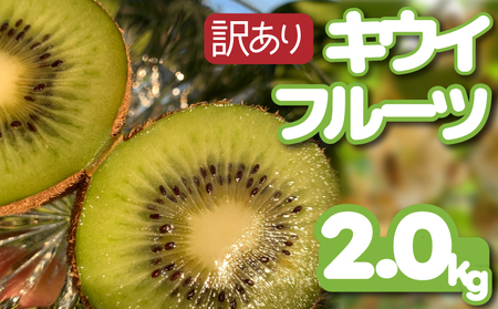 [12月上旬~順次発送] 訳あり キウイフルーツ 2kg 腸活 グリーンキウイ 健康 甘い キウイ フルーツ 無選別 みつばち 規格外 デザート 果物 くだもの 国産 愛知県 南知多町 [配送不可地域:北海道 青森 秋田 岩手 沖縄 離島]