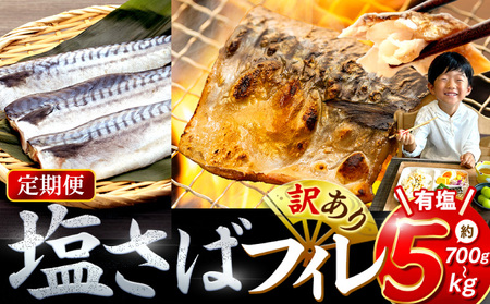 [定期便 隔月3回] 塩サバフィレ 計:9kg ※1回あたり3kg 冷凍 鯖 塩 さば 魚 塩さば さかな 海産物 おかず 鯖ご飯 魚介 海鮮 惣菜 塩サバ 塩鯖 焼き サバ 焼きさば 焼 南知多 定期便 人気 おすすめ 愛知県 南知多町