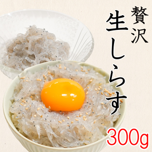 生しらす 300g ( 100g × 3袋 ) 冷凍 刺身 真空パック ごはん 丼 サラダ 魚 料理 愛知県 南知多町 師崎 山庄水産