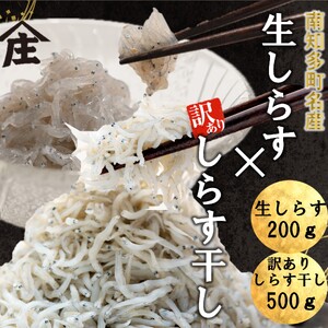 生しらす 200g 訳ありしらす干し 500g セット 冷凍 刺身 真空パック しらす干し 炒飯 パスタ ごはん 丼 サラダ 魚 料理 愛知県 南知多町 師崎 山庄水産