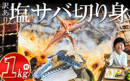 訳あり 塩サバ 1kg 鯖鯖鯖鯖鯖