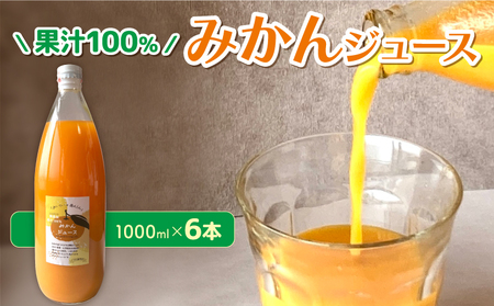 果汁100% みかんジュース 1000ml × 6本 無農薬 無添加 濃厚 みかん ジュース 炭酸 清涼飲料水 夏 蜜柑 炭酸 ふるさと納税 くらしを耕す会 愛知県 南知多町